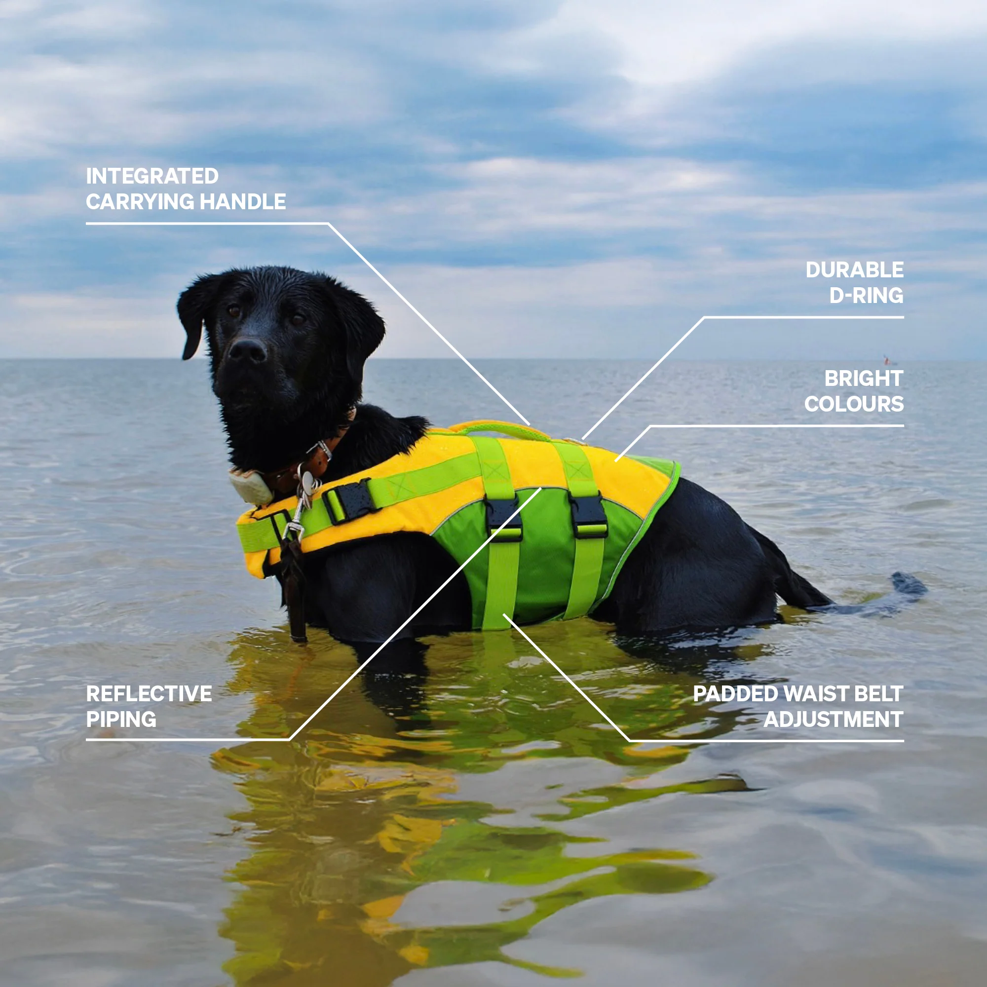 DOG LIFE JACKET - Image 10