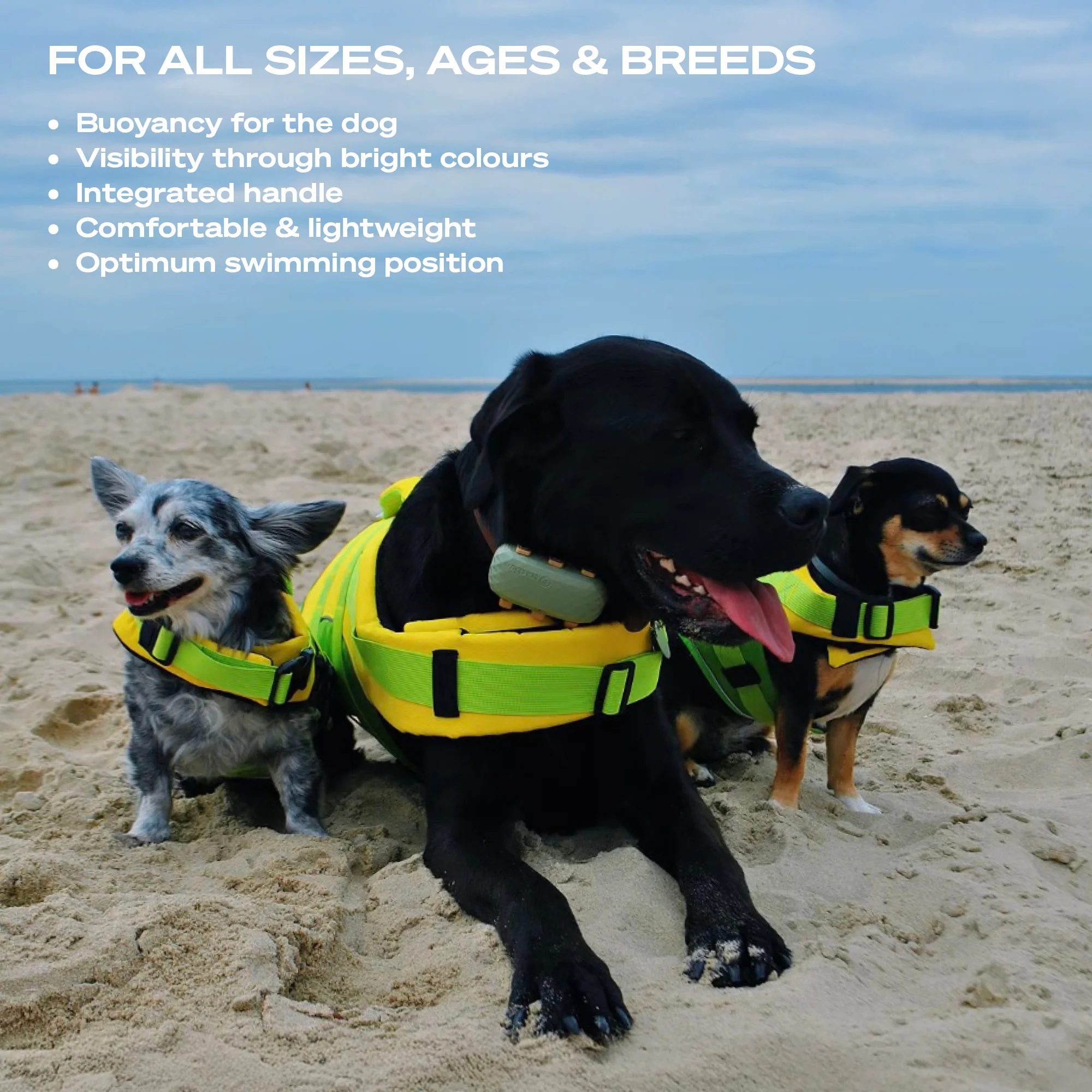 DOG LIFE JACKET - Image 4
